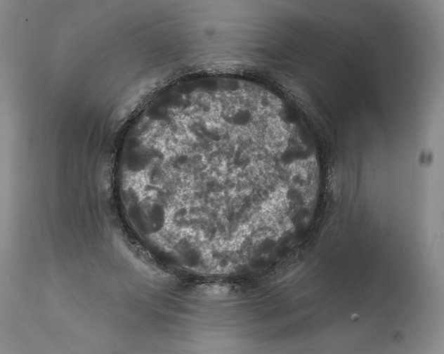 X0000112030687200908241539