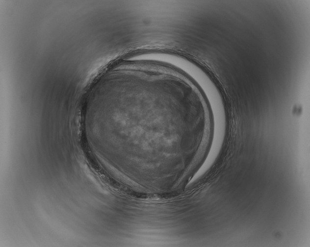 X0000112030688200908241539