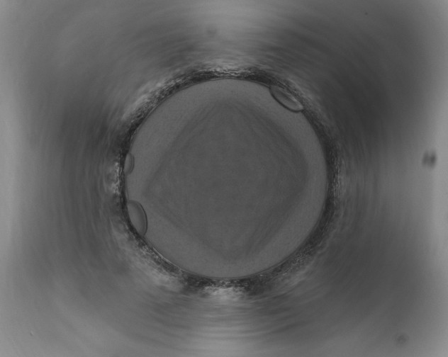 X0000112030689200908241539