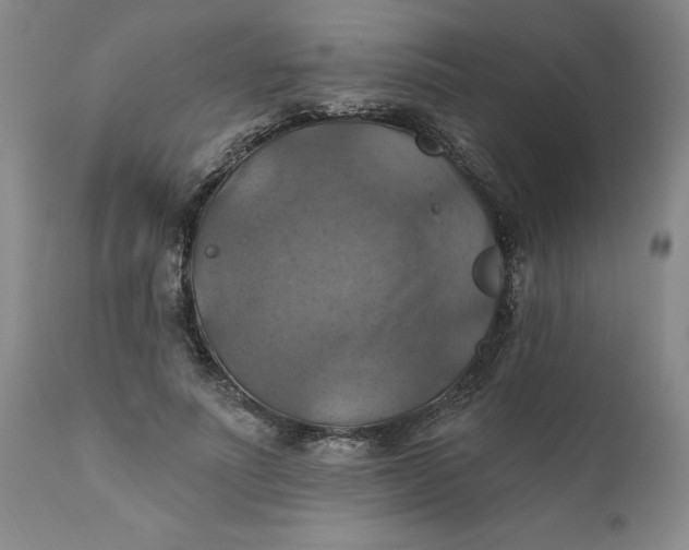 X0000112030691200908241539
