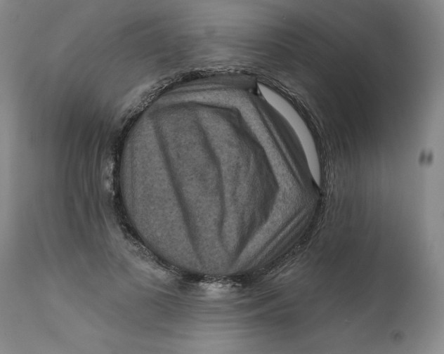 X0000112030693200908241539