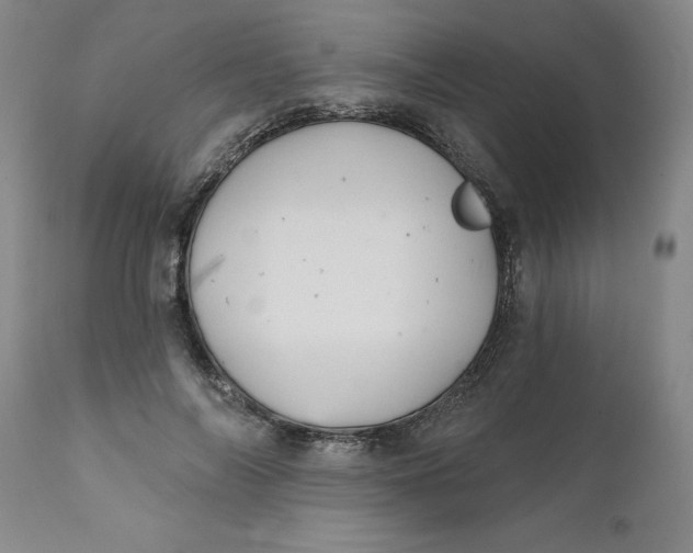 X0000112030694200908241539