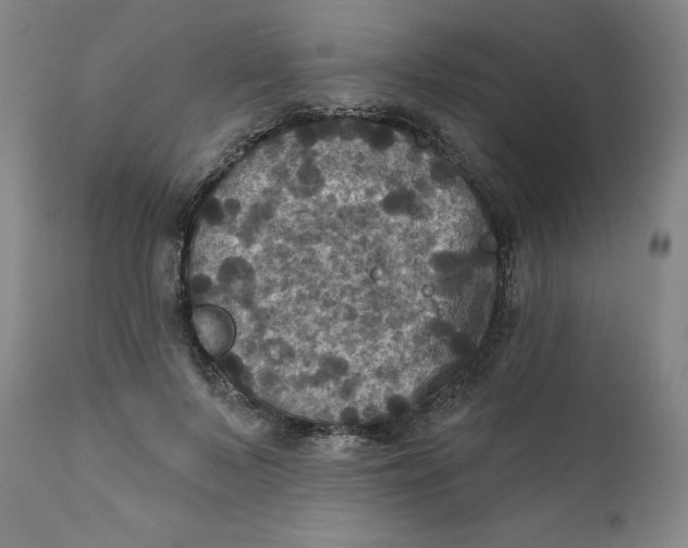 X0000112030695200908241539