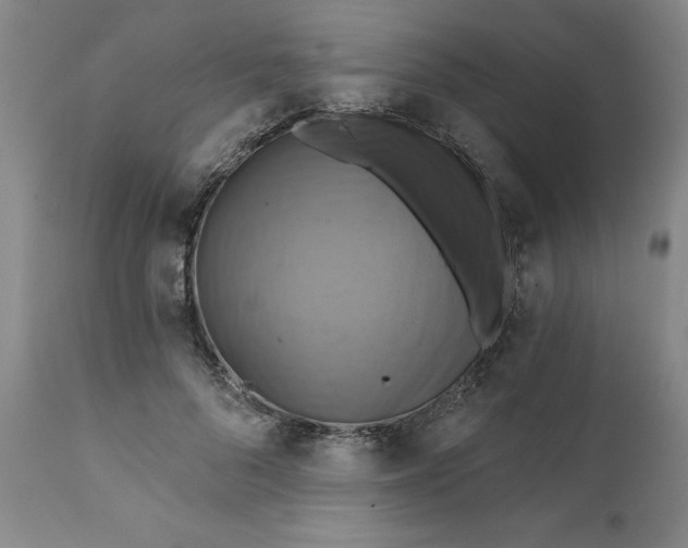 X0000112030696200908241539