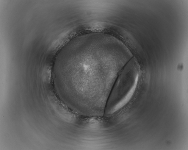 X0000112030697200908241539