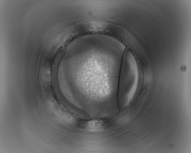 X0000112030700200908241539