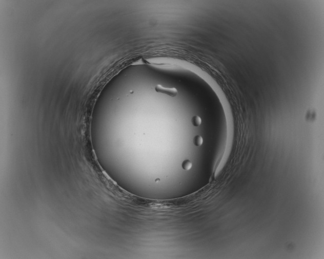 X0000112030701200908241539