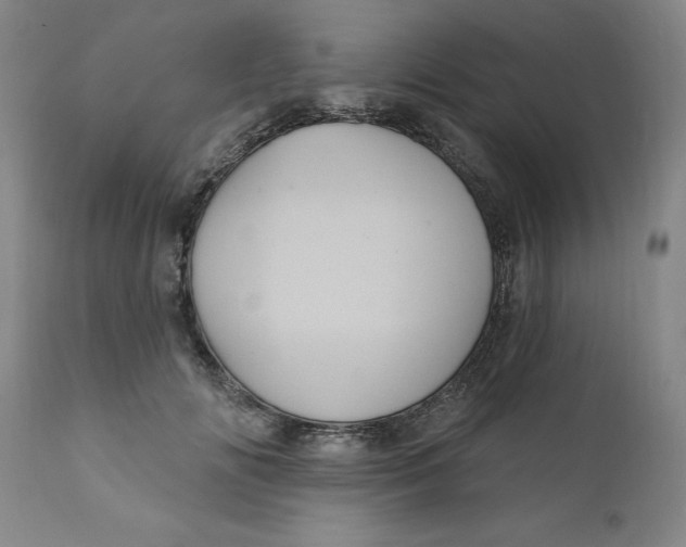 X0000112030702200908241539