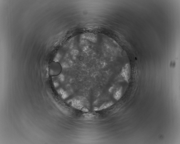 X0000112030703200908241539