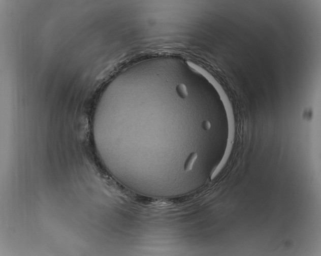 X0000112030704200908241539