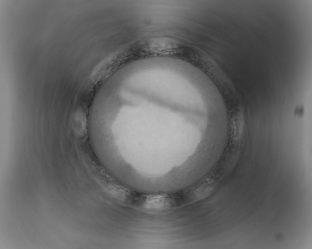 X0000112030705200908241539