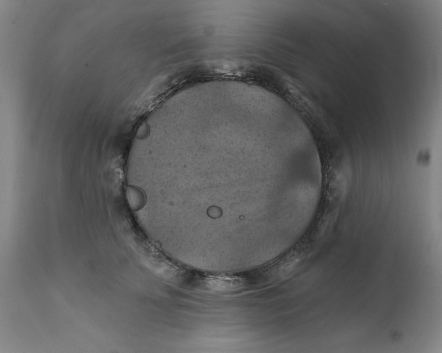 X0000112030707200908241539