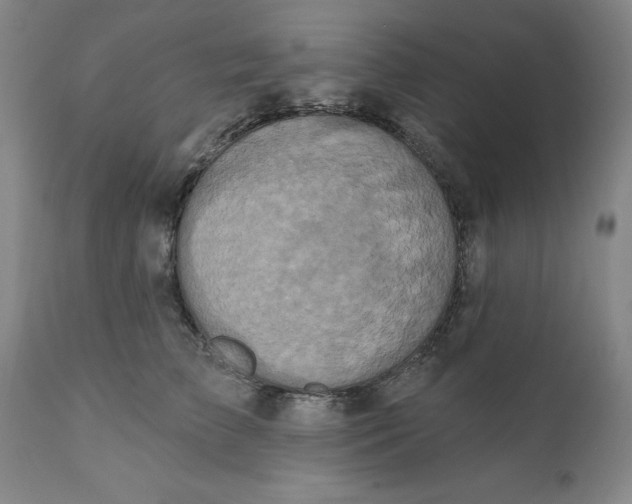 X0000112030709200908241539