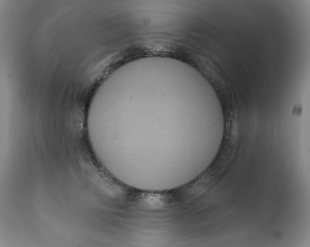 X0000112030710200908241539