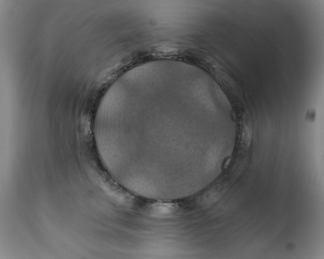 X0000112030711200908241539