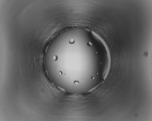 X0000112030712200908241539