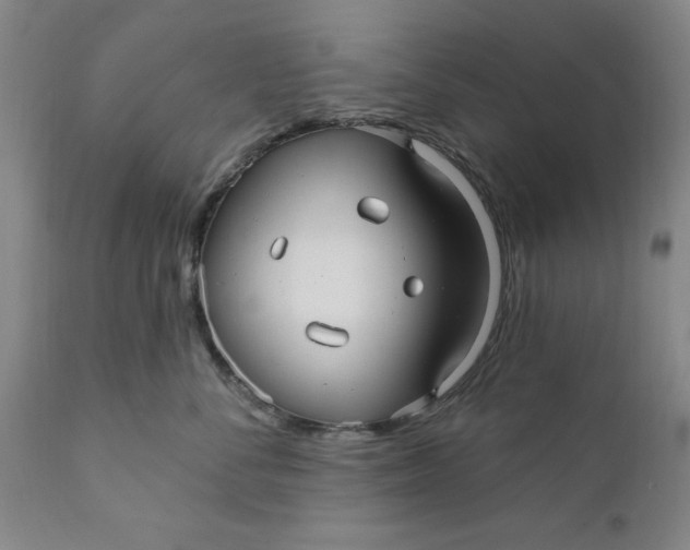 X0000112030716200908241539