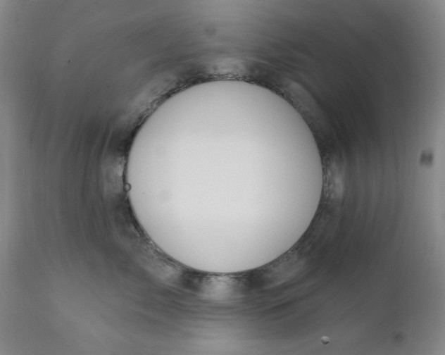 X0000112030717200908241539