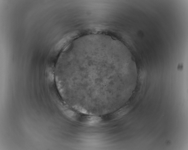 X0000112030719200908241539