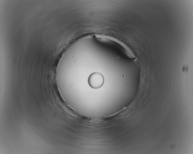 X0000112030720200908241539