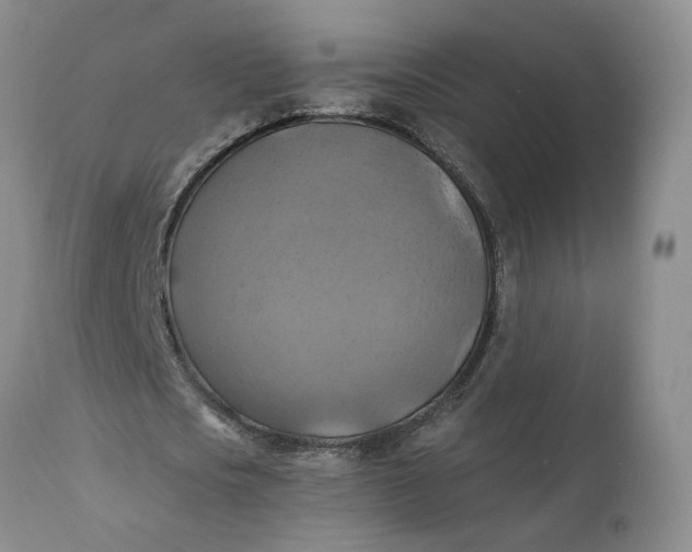 X0000112030721200908241538