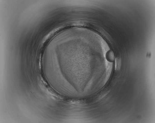 X0000112030723200908241538