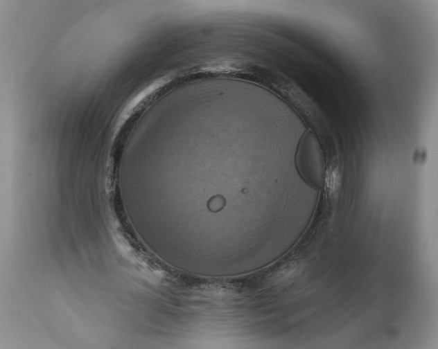 X0000112030724200908241538