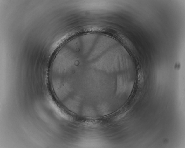 X0000112030725200908241538