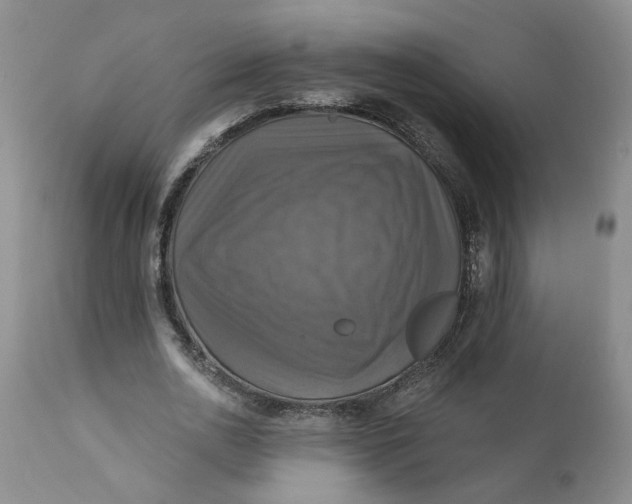 X0000112030726200908241538