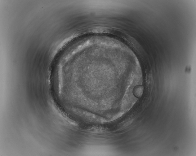 X0000112030727200908241538