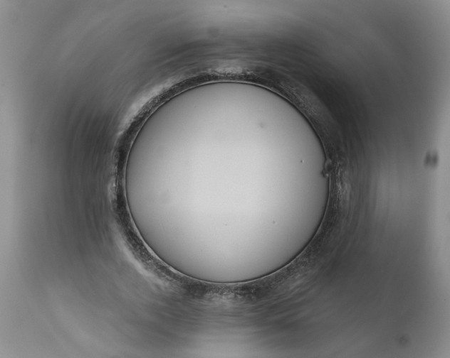 X0000112030728200908241538