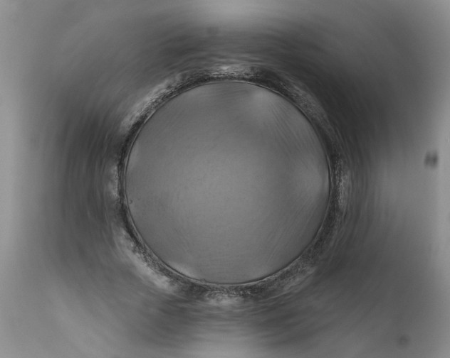 X0000112030729200908241538