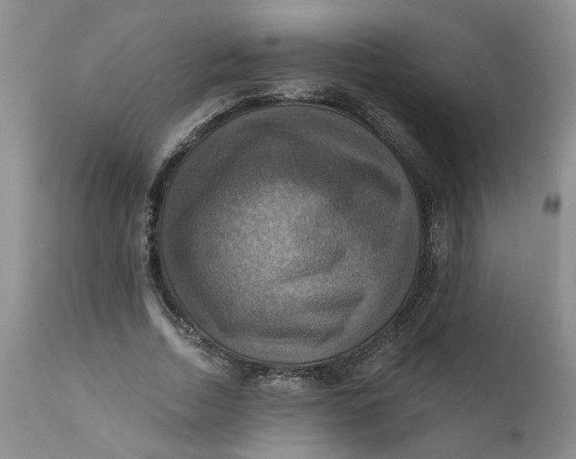 X0000112030730200908241538