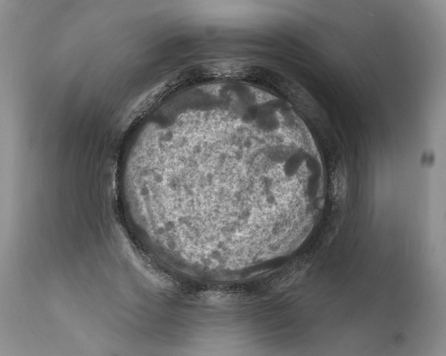 X0000112030733200908241538