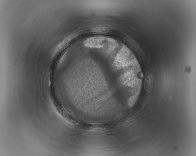 X0000112030734200908241538