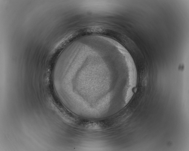 X0000112030735200908241538