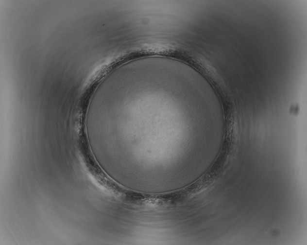 X0000112030736200908241538