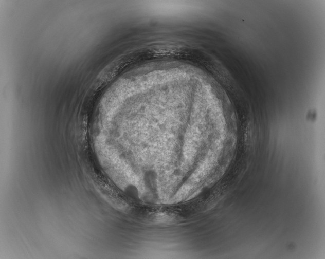 X0000112030737200908241538