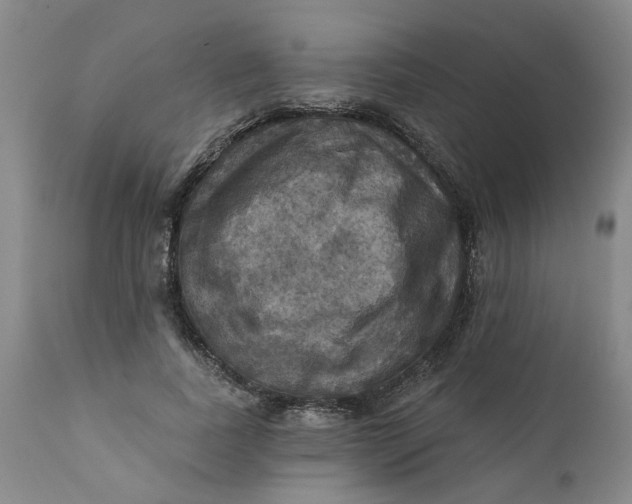 X0000112030739200908241538