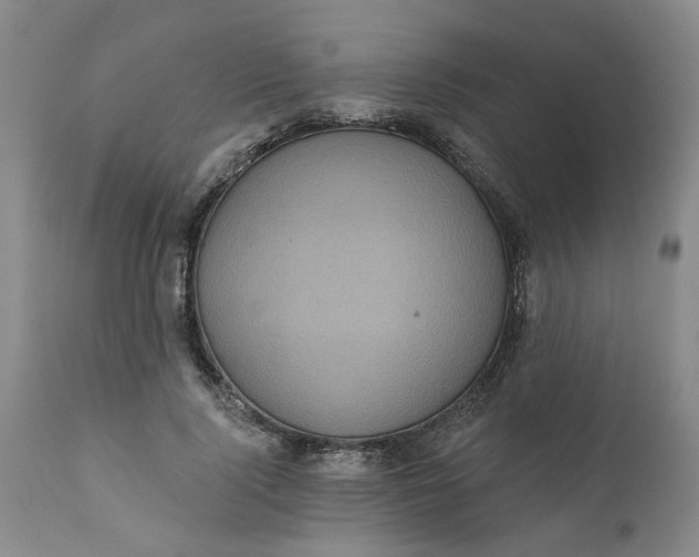 X0000112030740200908241538