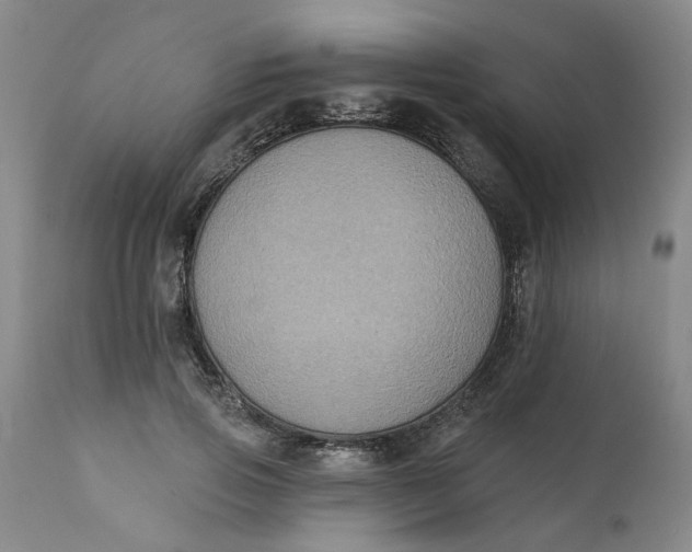 X0000112030741200908241538