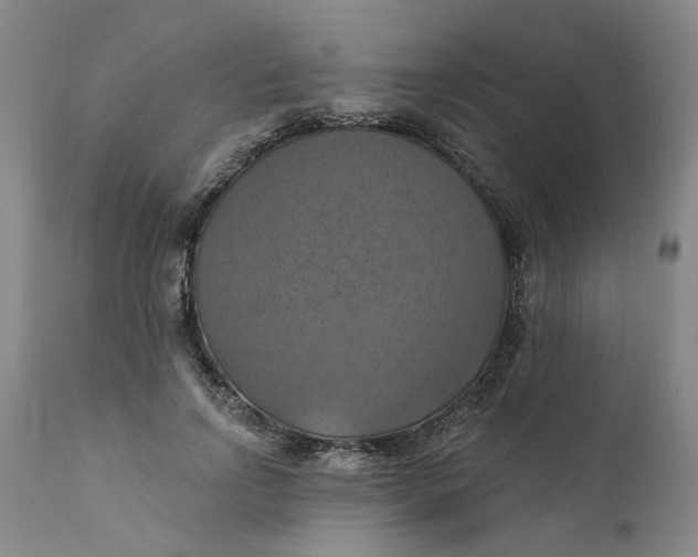 X0000112030742200908241538