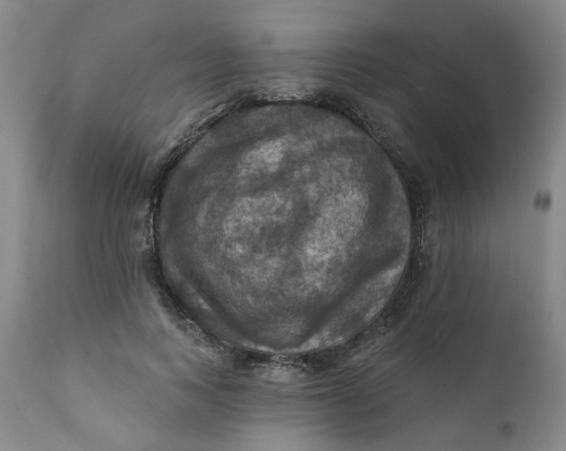 X0000112030743200908241538