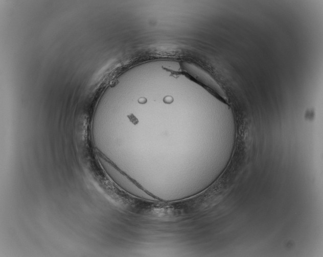 X0000112030744200908241538