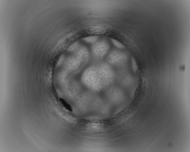 X0000112030745200908241538