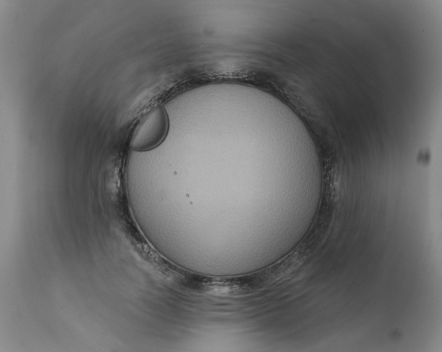 X0000112030746200908241538