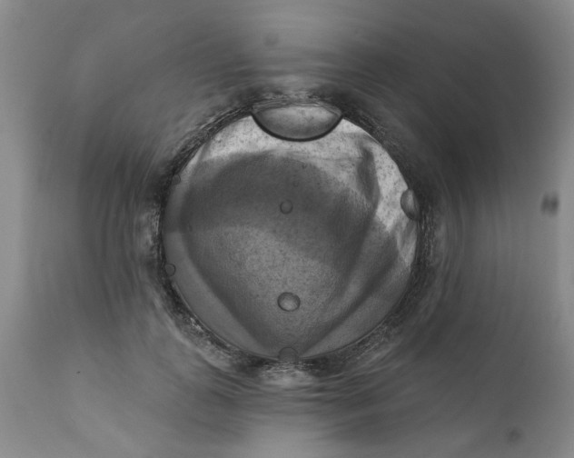 X0000112030747200908241538