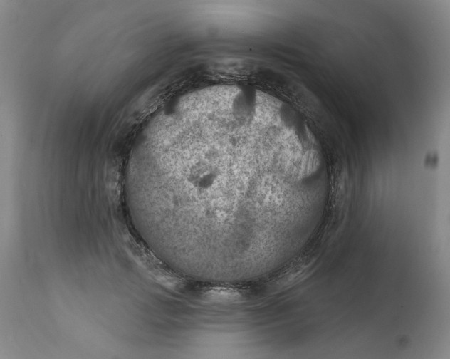 X0000112030749200908241538