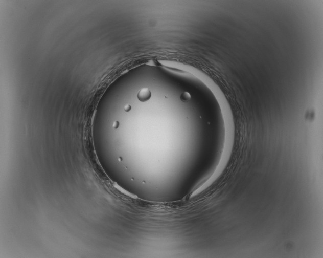 X0000112030750200908241538