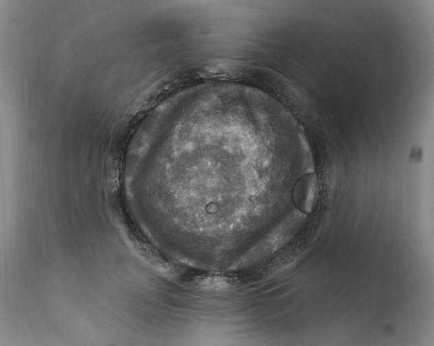 X0000112030751200908241538